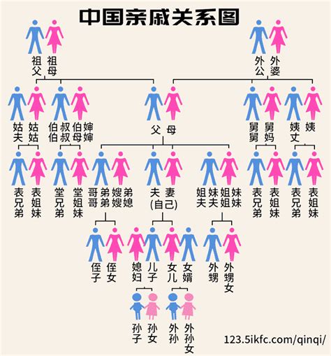 祖父母是誰|中国人亲戚关系图表